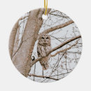Search for barred owl christmas tree decorations Nature