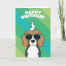 Search for beagles cards From the dog