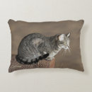 Search for grey cat cushions Pets