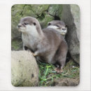 Search for otter mousepads Mustelids