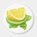 Search for lemon slice magnets Lime