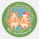 Search for guinea pig stickers Santa