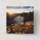 Search for nevada badges Forest
