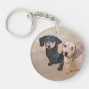 Search for wiener dog key rings Puppy