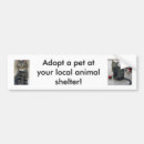 Search for adopt a pet bumper stickers Adoption