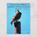 Search for hawking postcards Hawks