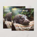 Search for napping invitations Sleepy