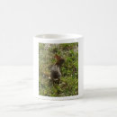 Search for wild hare mugs Animal