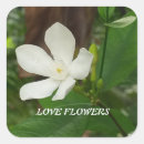 Search for relations stickers Flowers