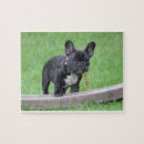 Search for french bulldog puzzles Baby