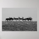 Search for reindeer posters Arctic