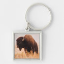 Search for bison bison key rings Cow
