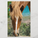 Search for horses flyers Farm