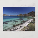 Search for baja postcards Baja california sur