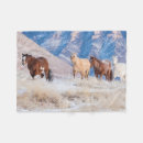 Search for hideout Ranch