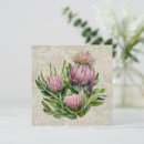 Search for proteas cards Watercolor