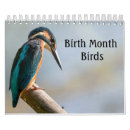 Search for birds office supplies Bird watching