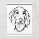 Search for dachshund puppy postcards Dog
