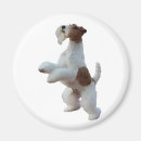 Search for wire magnets Fox