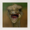 Search for ostrich puzzles Wildlife