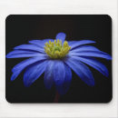 Search for gerbera daisy electronics Daisies