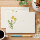 Search for painted daisies Pretty