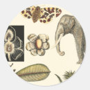 Search for assorted stickers Animals
