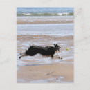 Search for enjoyment postcards Vertical