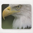 Search for environment mousepads Wildlife