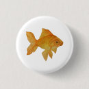 Search for gold fish accessories Animal