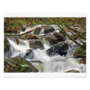 Search for nature walk posters Serene