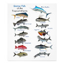 Search for saltwater fish posters Sea