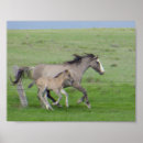 Search for mustangs art Nature