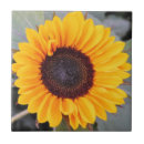 Search for sunflower kitchen tiles Home