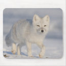 Search for arctic fox mousepads Canine
