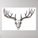 Search for deer skull art Animals