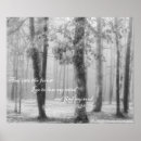 Search for forest path posters John muir