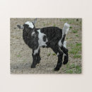 Search for baby goat toy games Kid