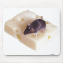 Search for in cheese mouse mousepads Mice