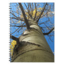 Search for aspen notebooks Tree