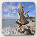 Search for driftwood coasters Beach