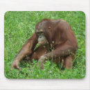 Search for sitting mousepads Animal