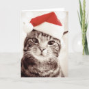 Search for tabby christmas cards One animal