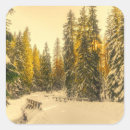Search for pine tree forest stickers Winter