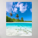 Search for coconut posters Paradise