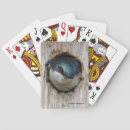 Search for eyes playing cards Nature photography