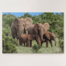 Search for elephant family puzzles Safari