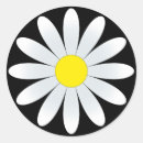 Search for daisy stickers Round
