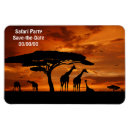 Search for safaris magnets Africa