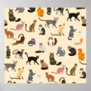 Search for cat breeds posters Blue